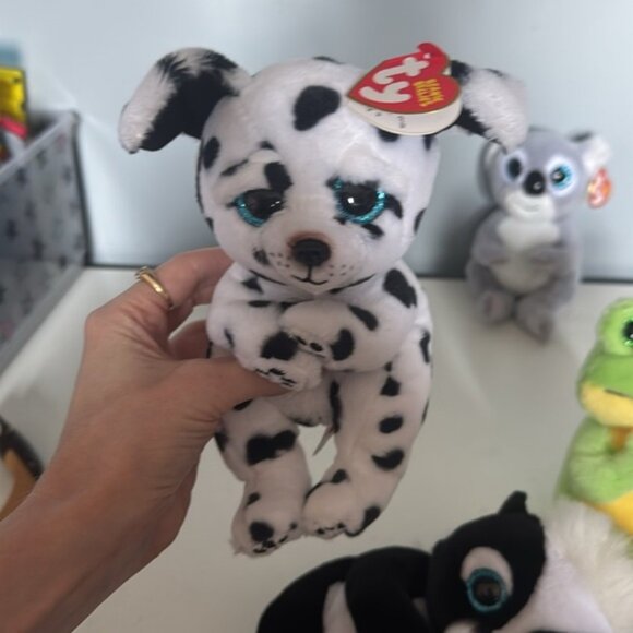 TY Beanie Bellies NWT Bundle Dogs Frog Skunk Koala - Picture 8 of 9